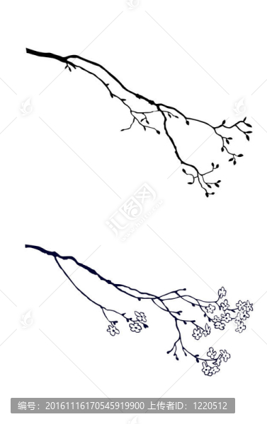 白色背景下樹枝的輪廓