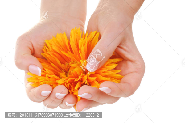 美麗的法式指甲和花