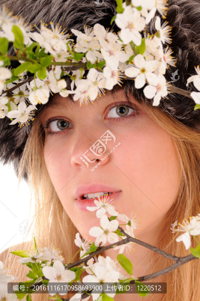 透過春天的花朵