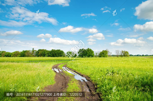 在綠色的田野里的鄉(xiāng)村公路