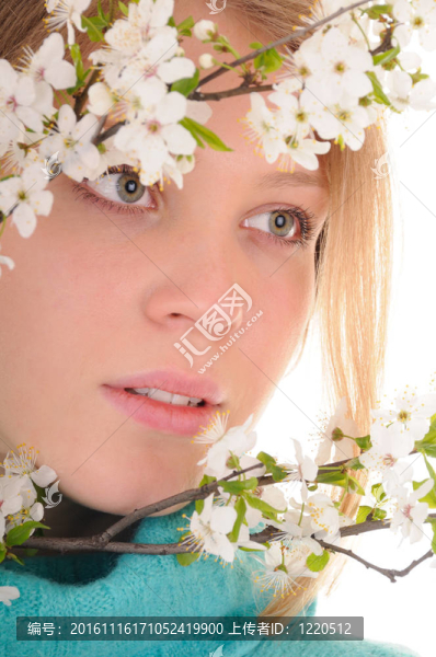 透過(guò)春天的花朵