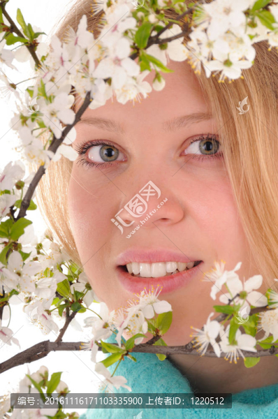 透過春天的花朵