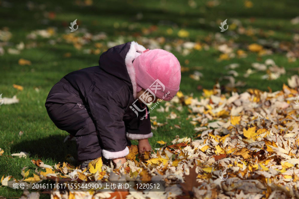 在秋天的公園樹葉玩學(xué)步女孩