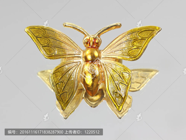 金色蝴蝶針在鏡子上