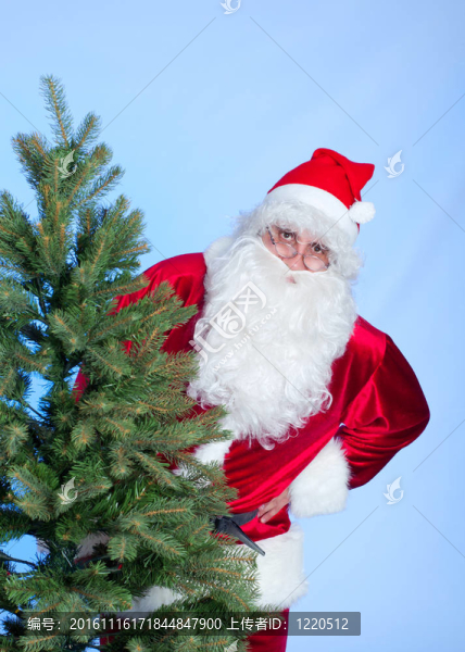 Santa和圣誕樹