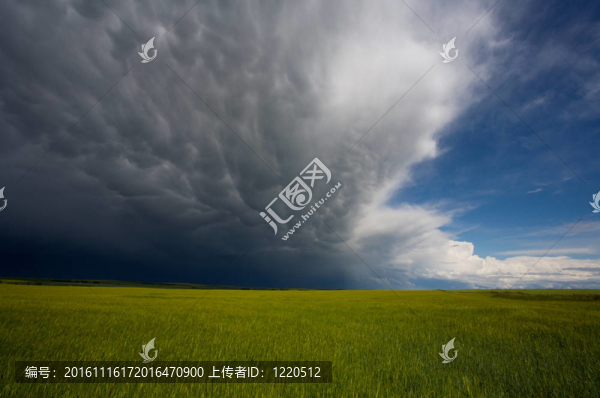 暴風(fēng)雨即將來臨