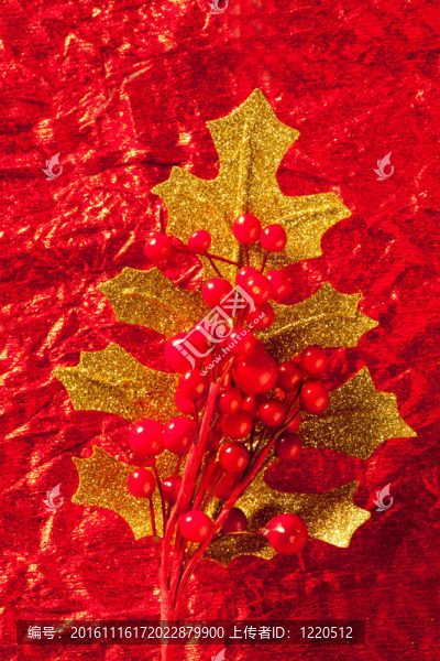 圣誕卡金葉和紅漿果