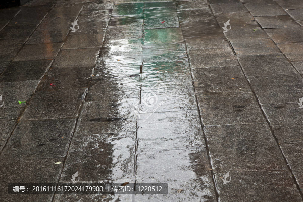鋪路的雨