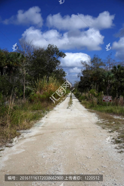 簡的景區(qū)公路