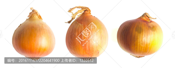 白色的金黃洋蔥