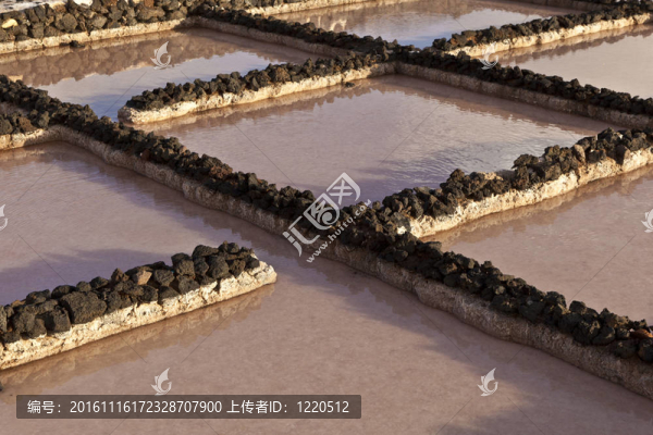 鹽鹽從janubio；蘭薩羅特島煉油廠；