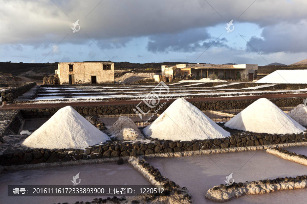 鹽鹽從janubio；蘭薩羅特島煉油廠；