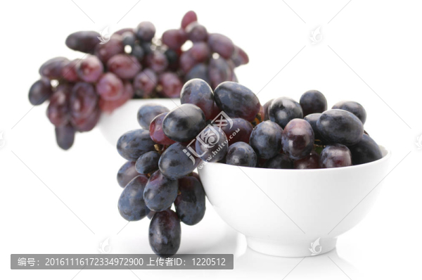紫色的葡萄-匯圖網(wǎng) www.fosd68.com 紫色的葡萄
