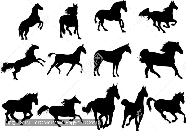 野馬