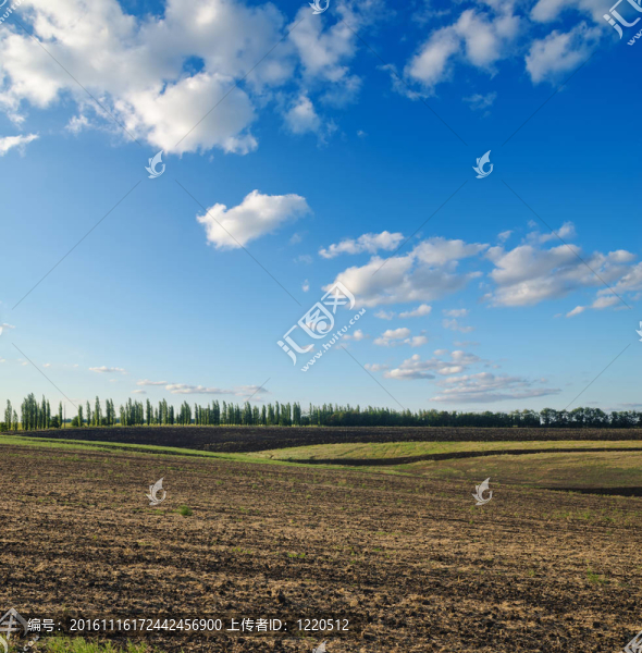 黑色的耕地在藍(lán)色的天空