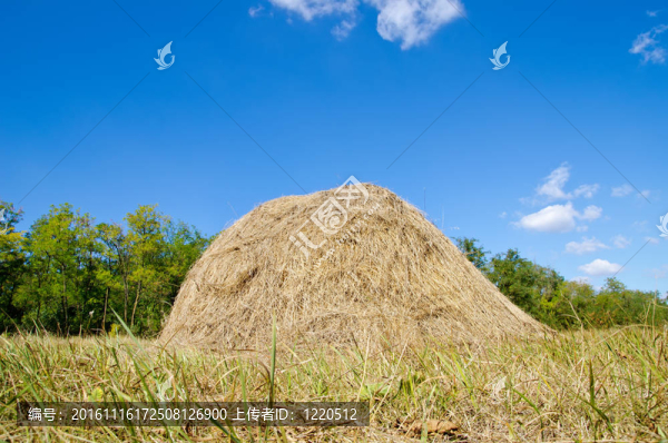 深藍(lán)色天空下的稻草堆