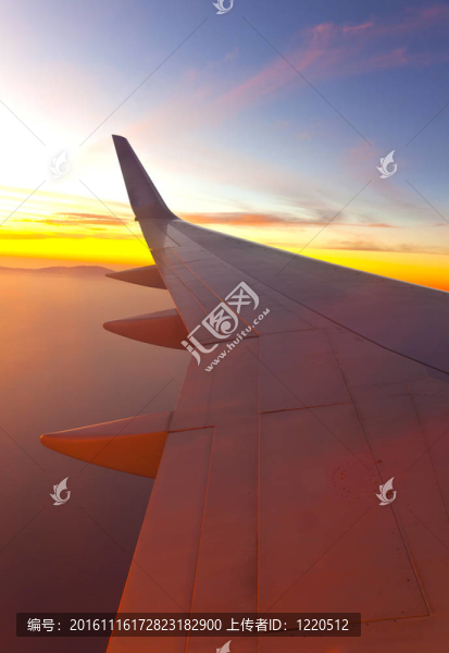 機(jī)翼的飛機(jī)