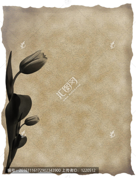 質(zhì)感的老紙背景與郁金香