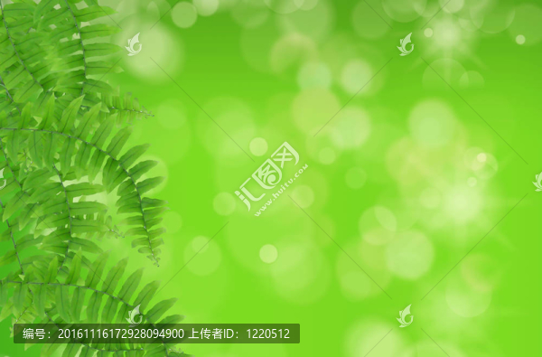綠葉；淺焦點