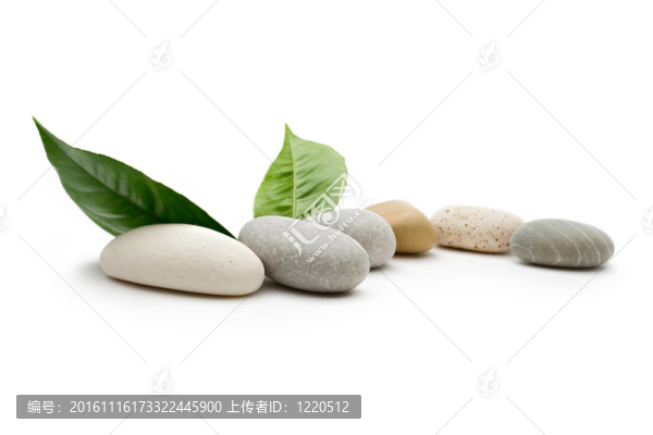 白色背景上的石頭和樹葉