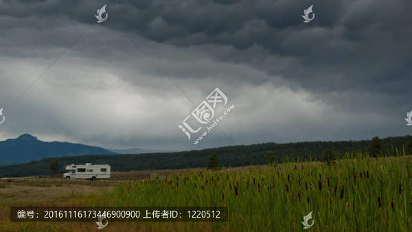 運(yùn)動(dòng)家