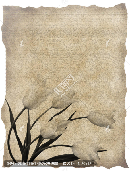 質(zhì)感的老紙背景與郁金香