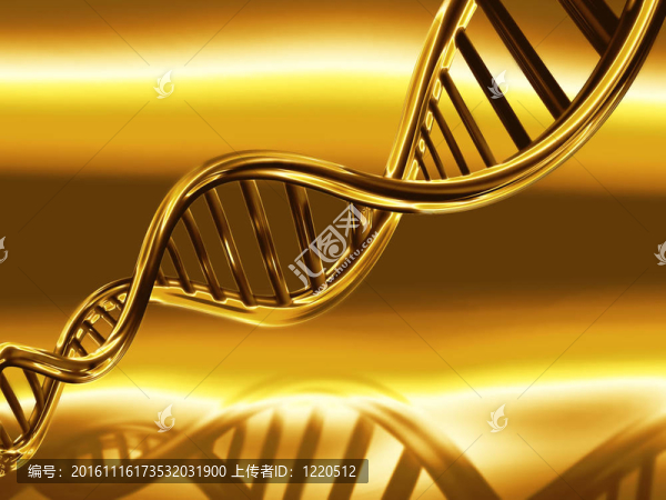 黃金股的DNA