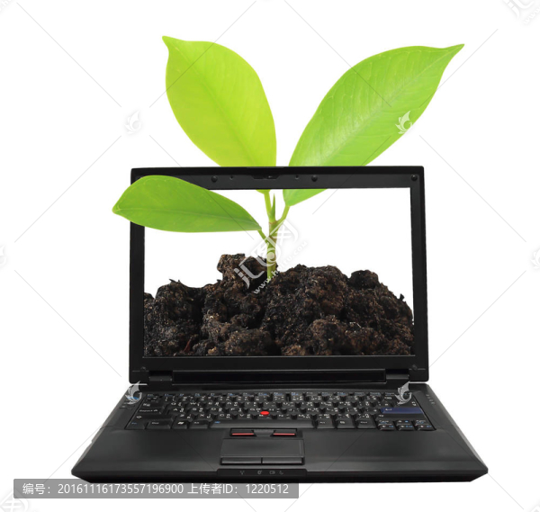 與綠色樹葉在WH空白屏幕生態(tài)木制筆記本