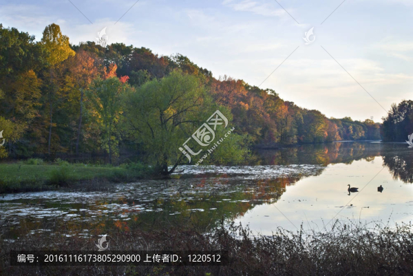 戴維森磨坊池公園