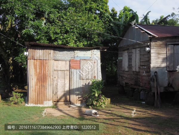 尼加拉瓜市狗睡鋅板材屋-玉米島