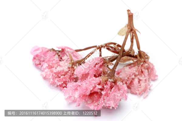 在櫻花BL鹽腌制食品