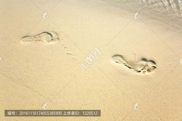 沙灘上細沙中的成人足跡