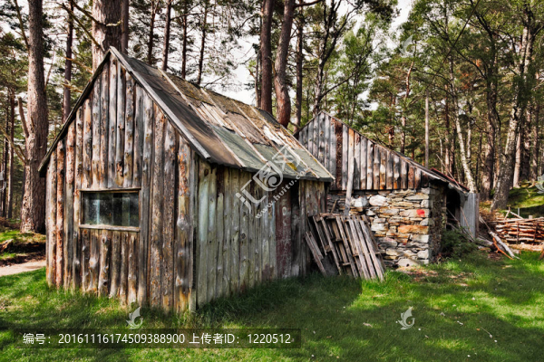 Loch附近的一個廢棄的小屋eilein