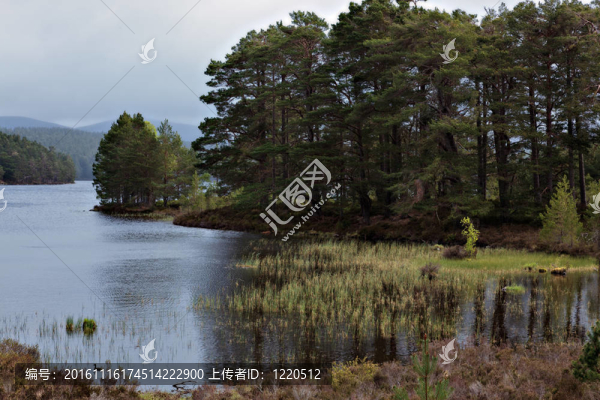 Loch,Eilein的風(fēng)景