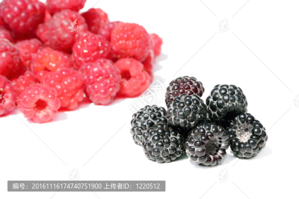 黑色和紅色覆盆子