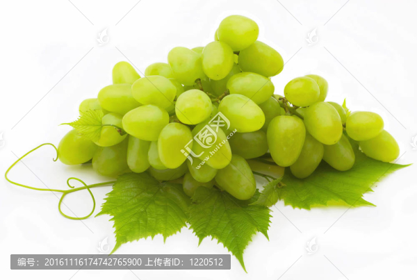 一串葡萄