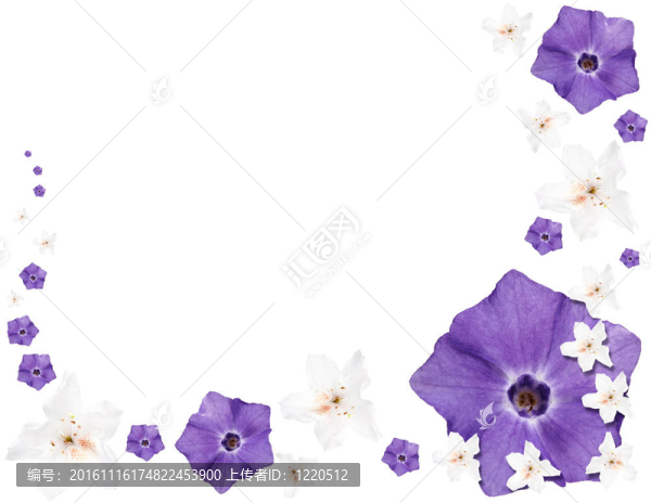 鮮花
