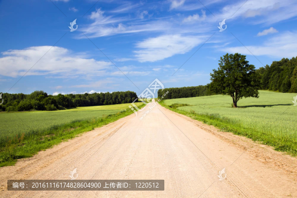 農(nóng)村公路