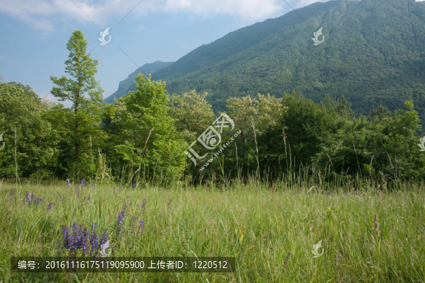 田野與鄉(xiāng)村。