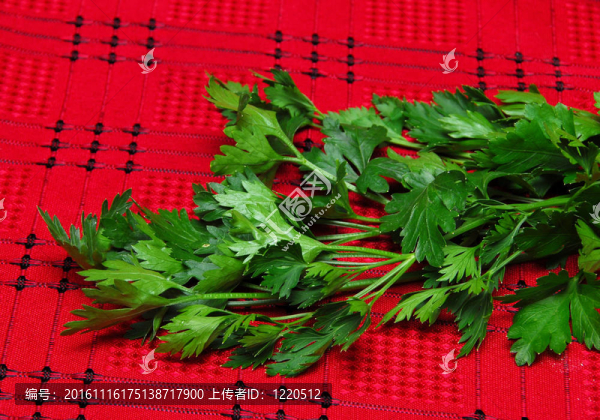 紅色的桌布，歐芹