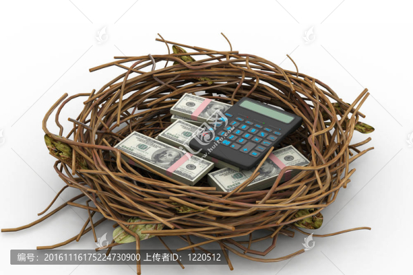美元和計算器保護