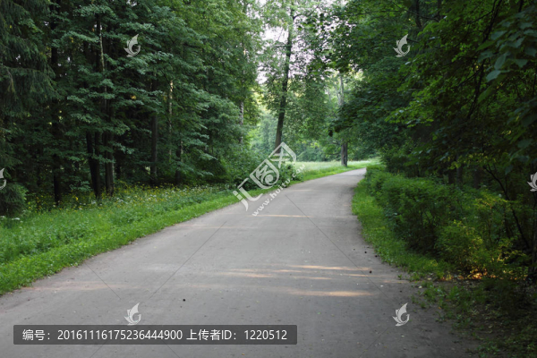 公園賽道