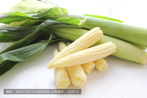 小玉米