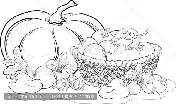 蔬菜；生活；輪廓