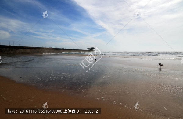 空海灘寬視野