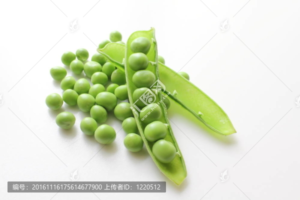 豌豆