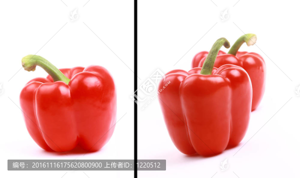 極好的紅辣椒，白色背景上有綠色的豆莢