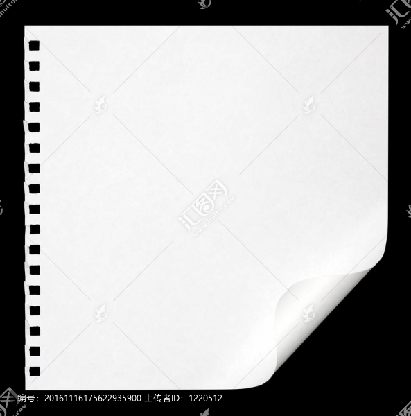 白皮書(shū)