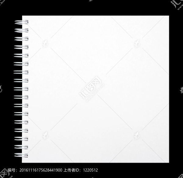白皮書
