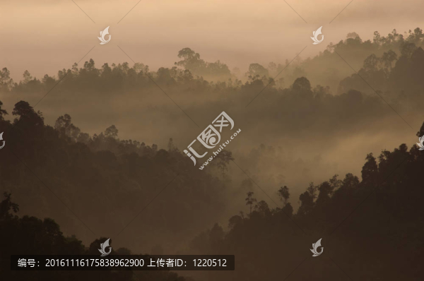 馬來西亞熱帶山脈的晨霧